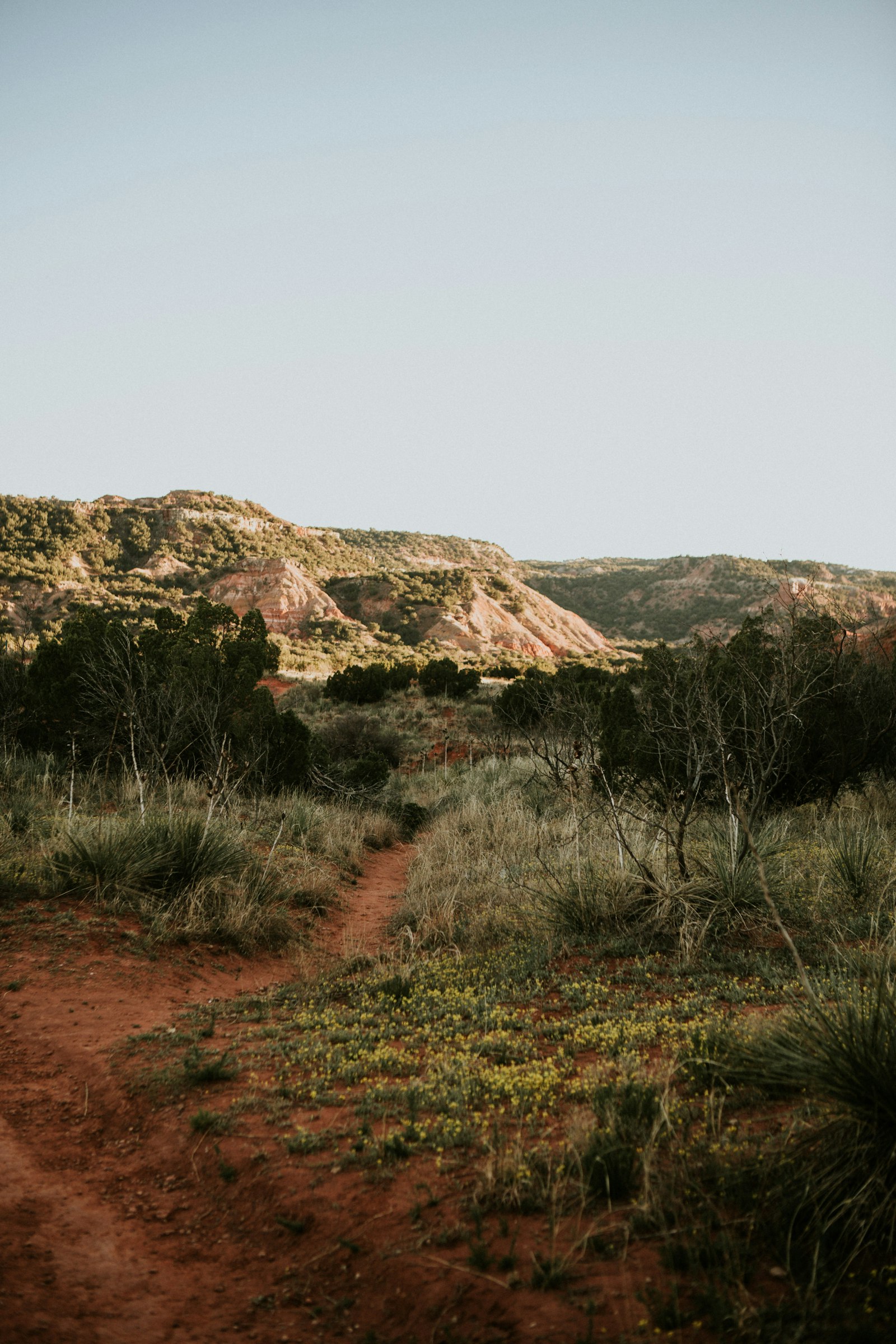 Why Texas Is the New Hollywood